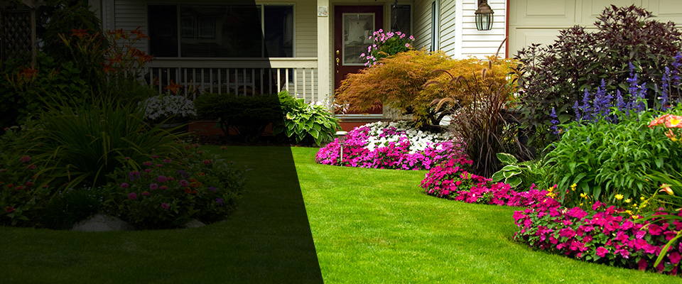 Evergreen Landscapers