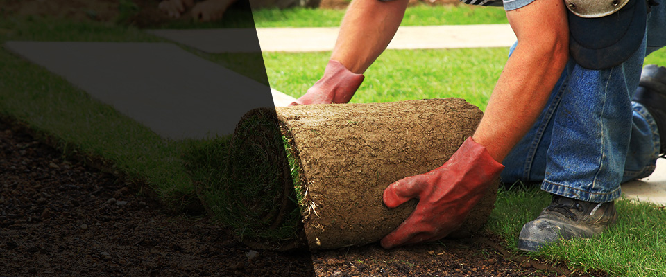 Evergreen Landscapers
